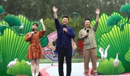 娱乐小杰爆料视频大全最新,揭秘娱乐圈幕后风云