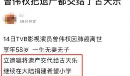 爆料情人案例大全最新版,情感纠葛背后的真相与警示