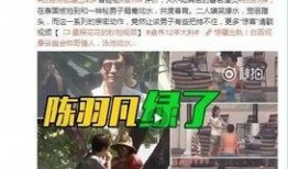 天涯论坛爆料陶喆视频,天涯论坛爆料引发网友热议